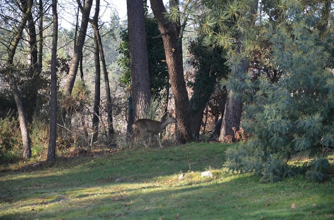 Bed and Breakfast L'Hippocampe Sérent Zewnętrze zdjęcie