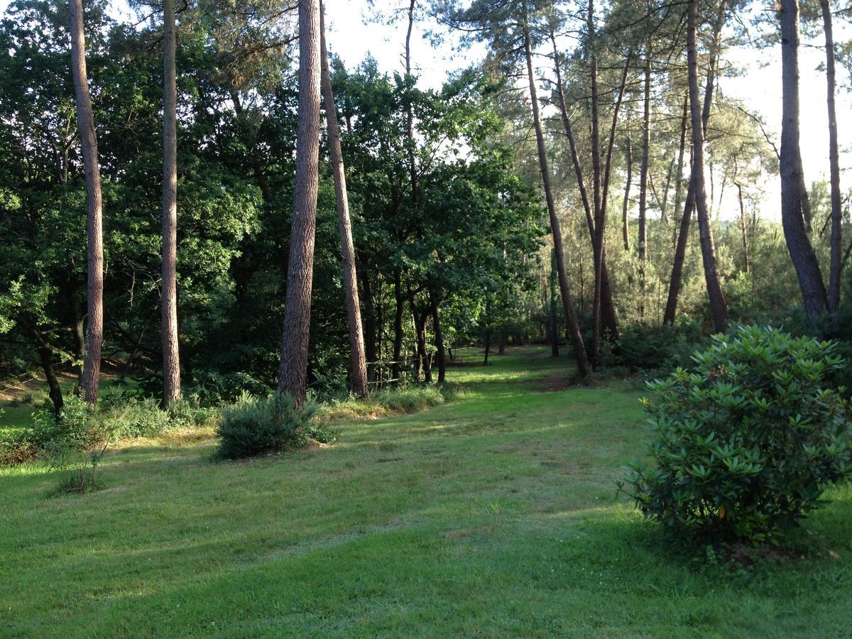 Bed and Breakfast L'Hippocampe Sérent Zewnętrze zdjęcie
