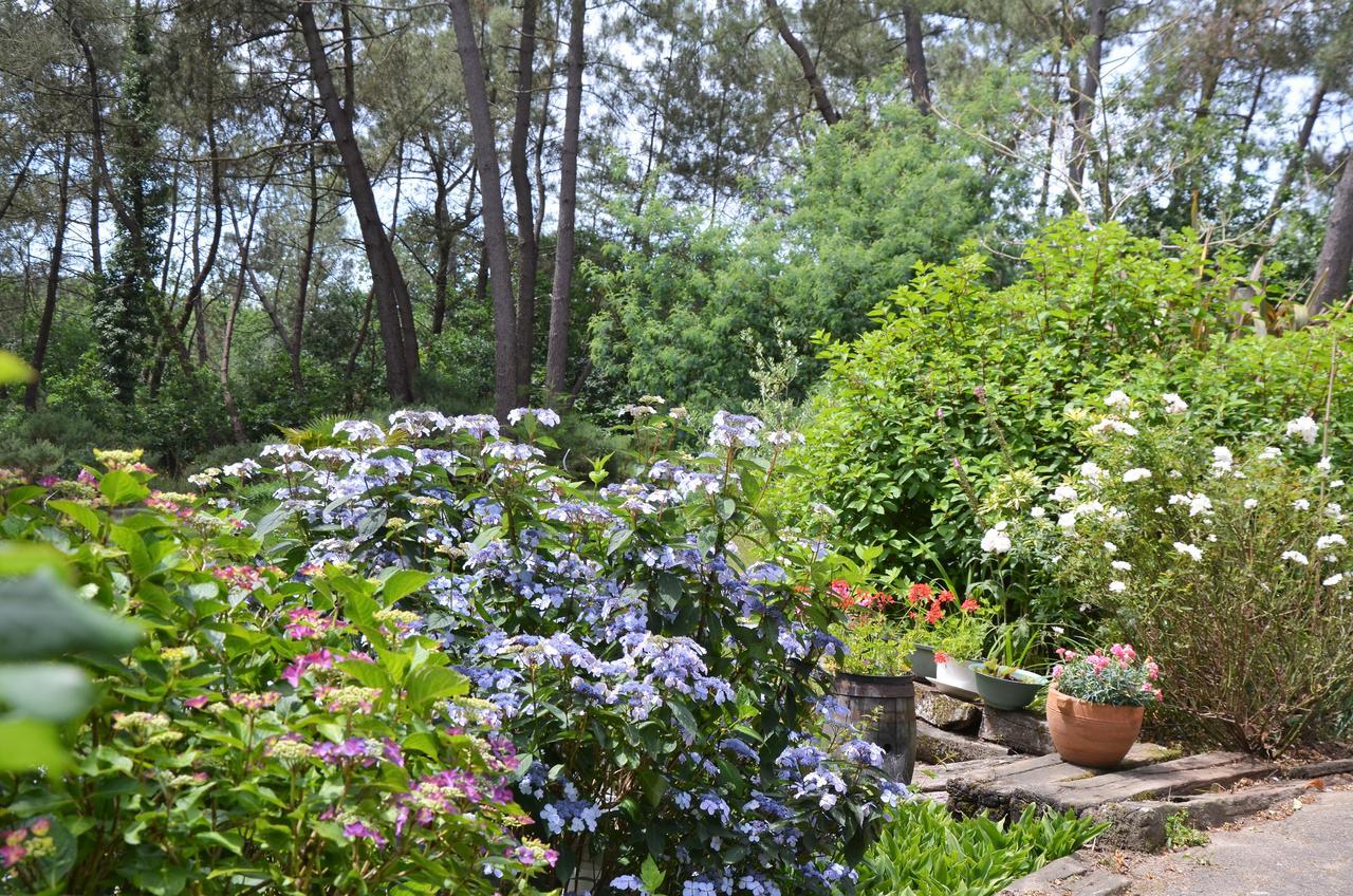 Bed and Breakfast L'Hippocampe Sérent Zewnętrze zdjęcie